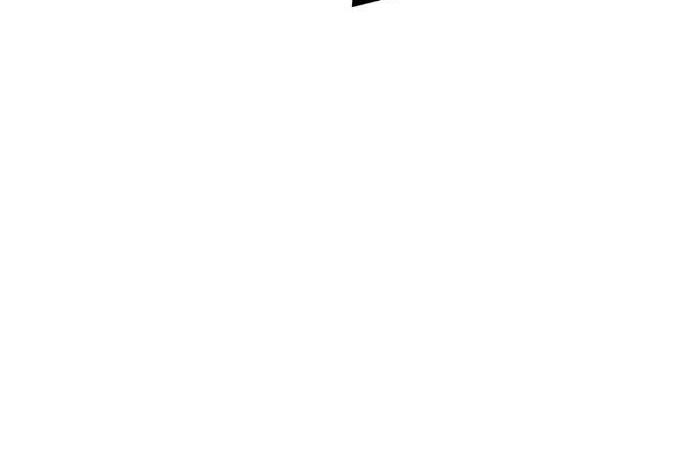 image 29
