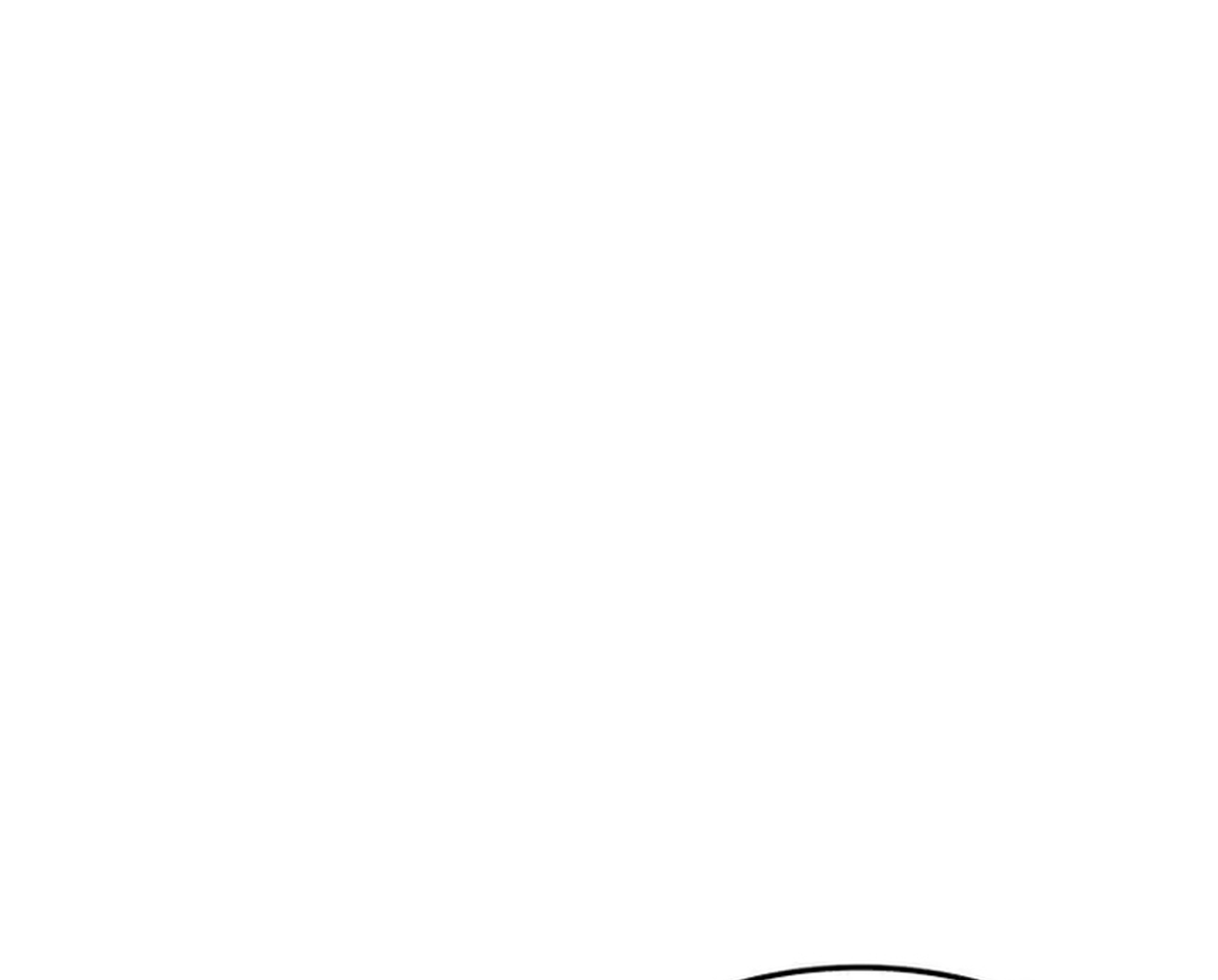 image 24