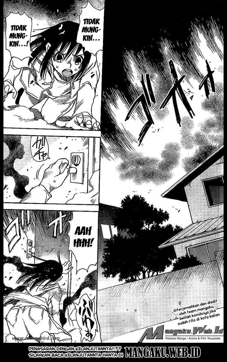 image 31