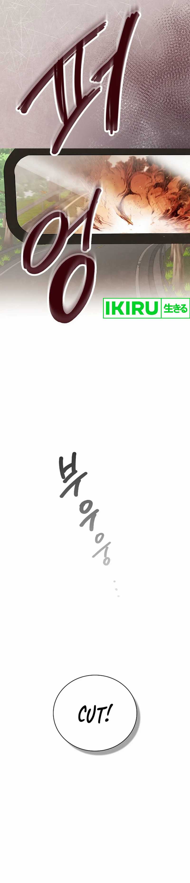 image 27