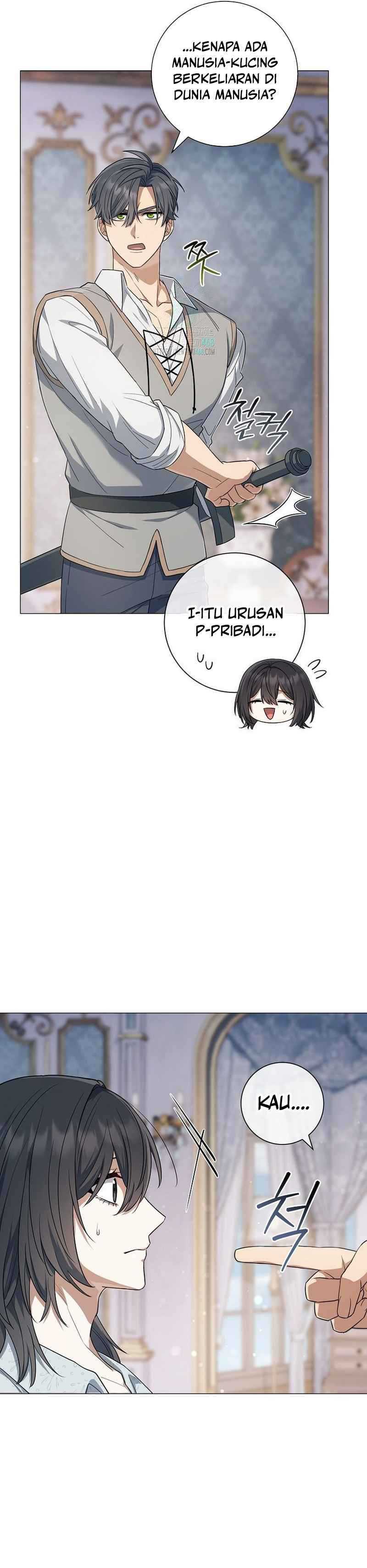 image 23