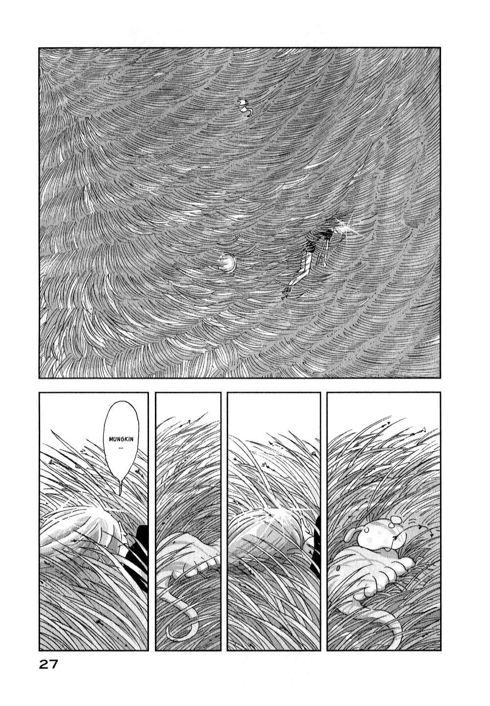 image 27