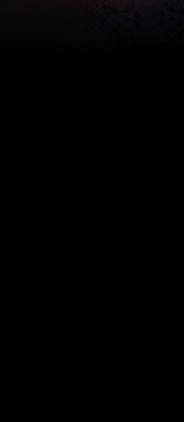 image 47