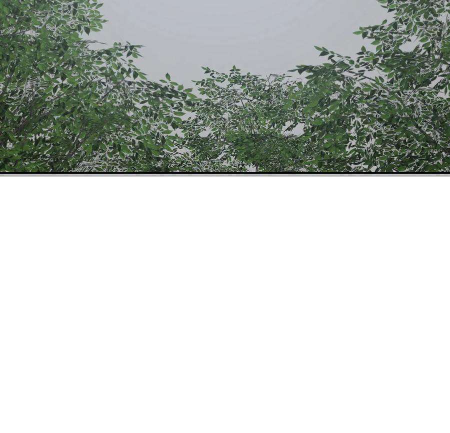 image 50