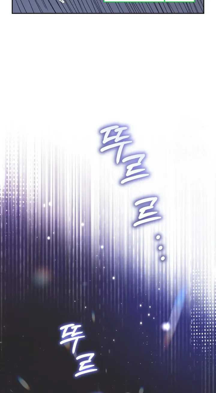 image 27