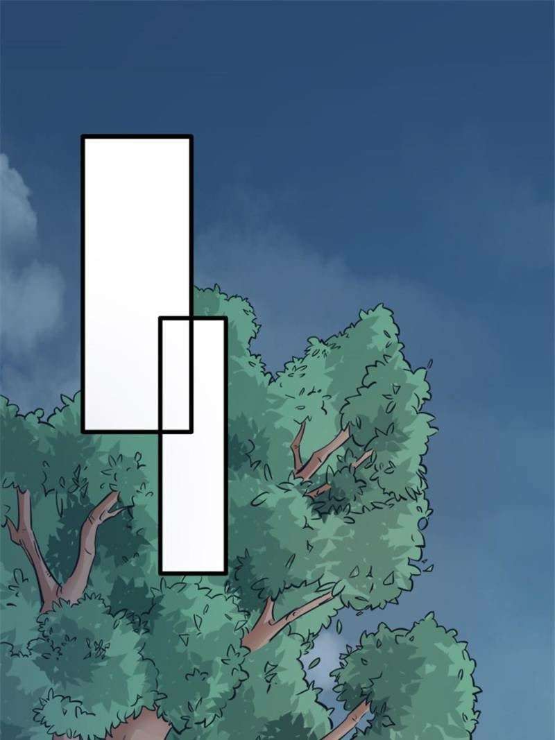 image 31