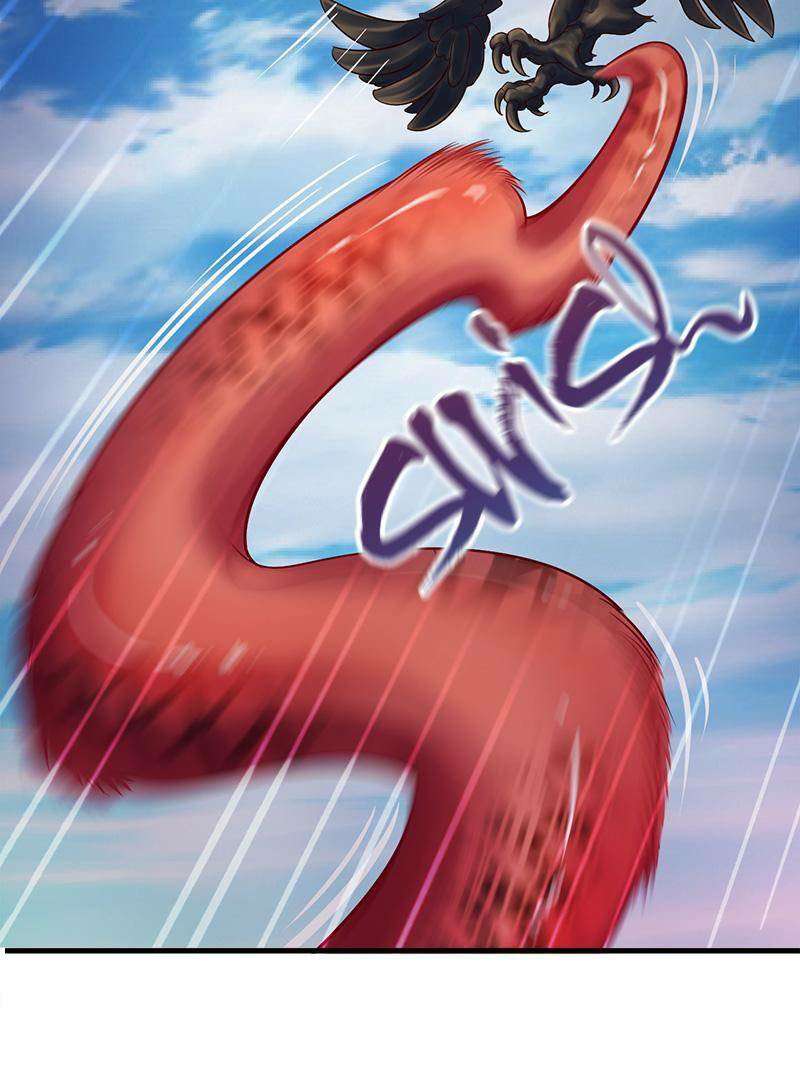 image 35