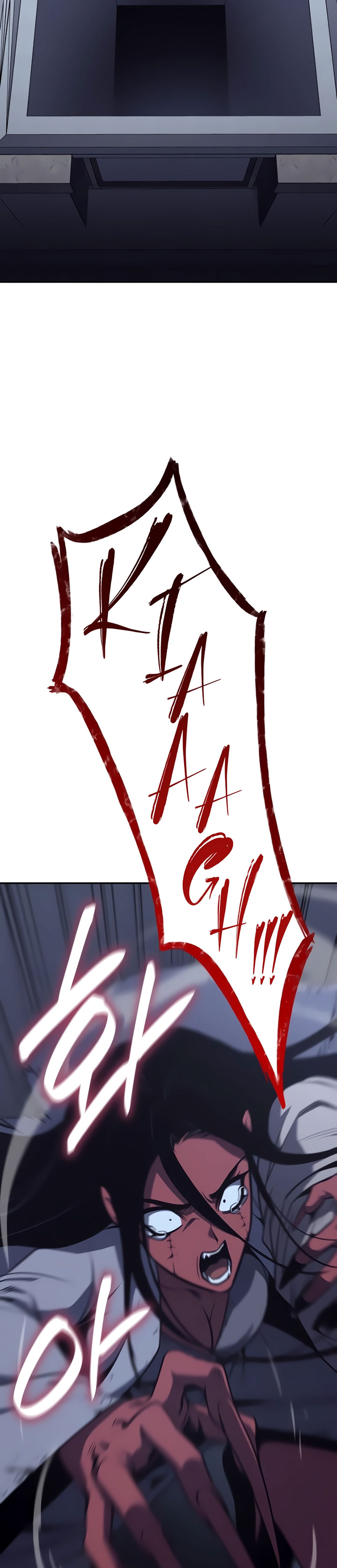 image 31