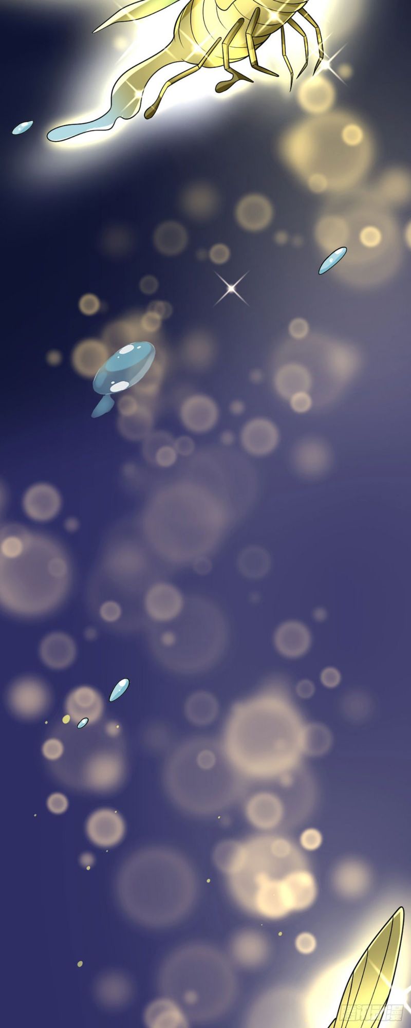 image 38