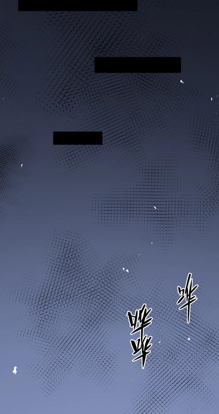 image 38