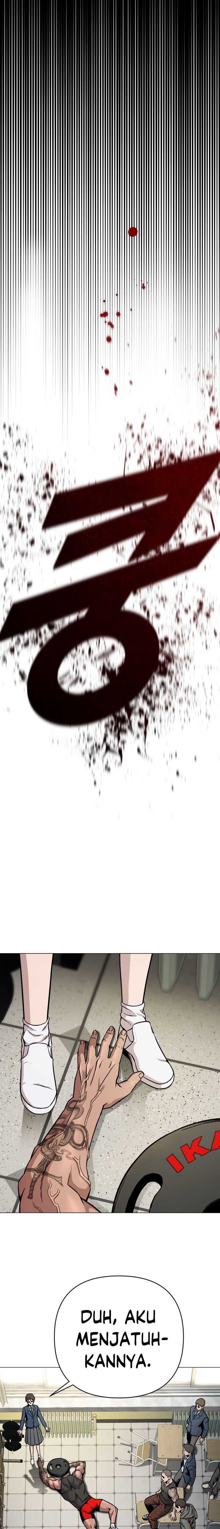 image 23