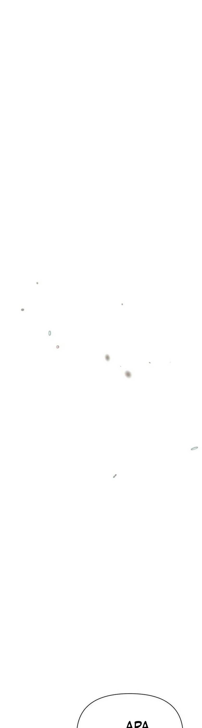 image 29