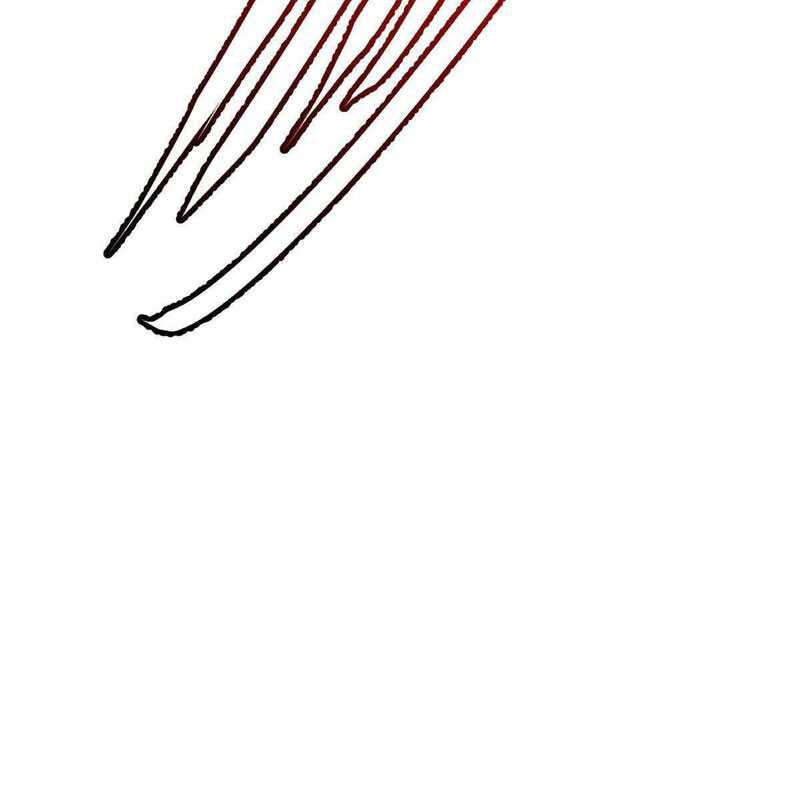 image 31