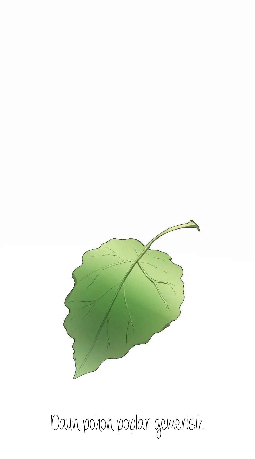 image 24