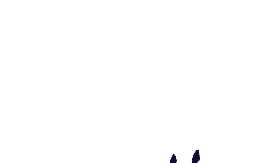 image 26
