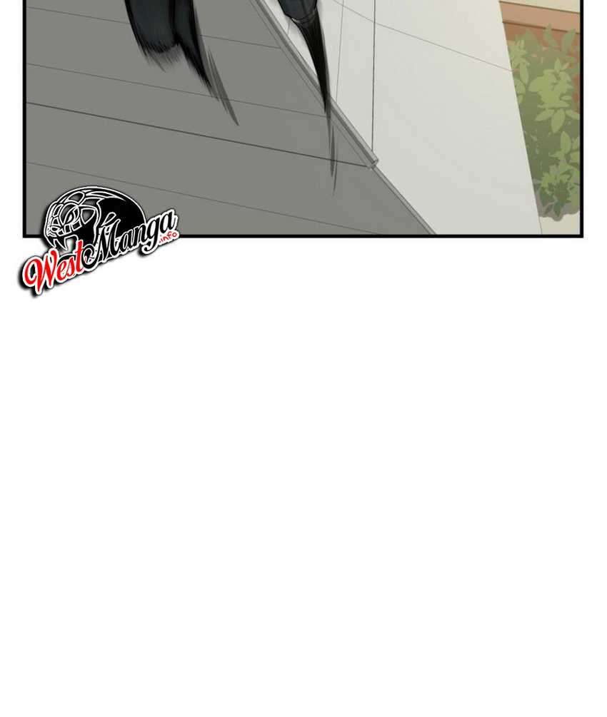 image 31