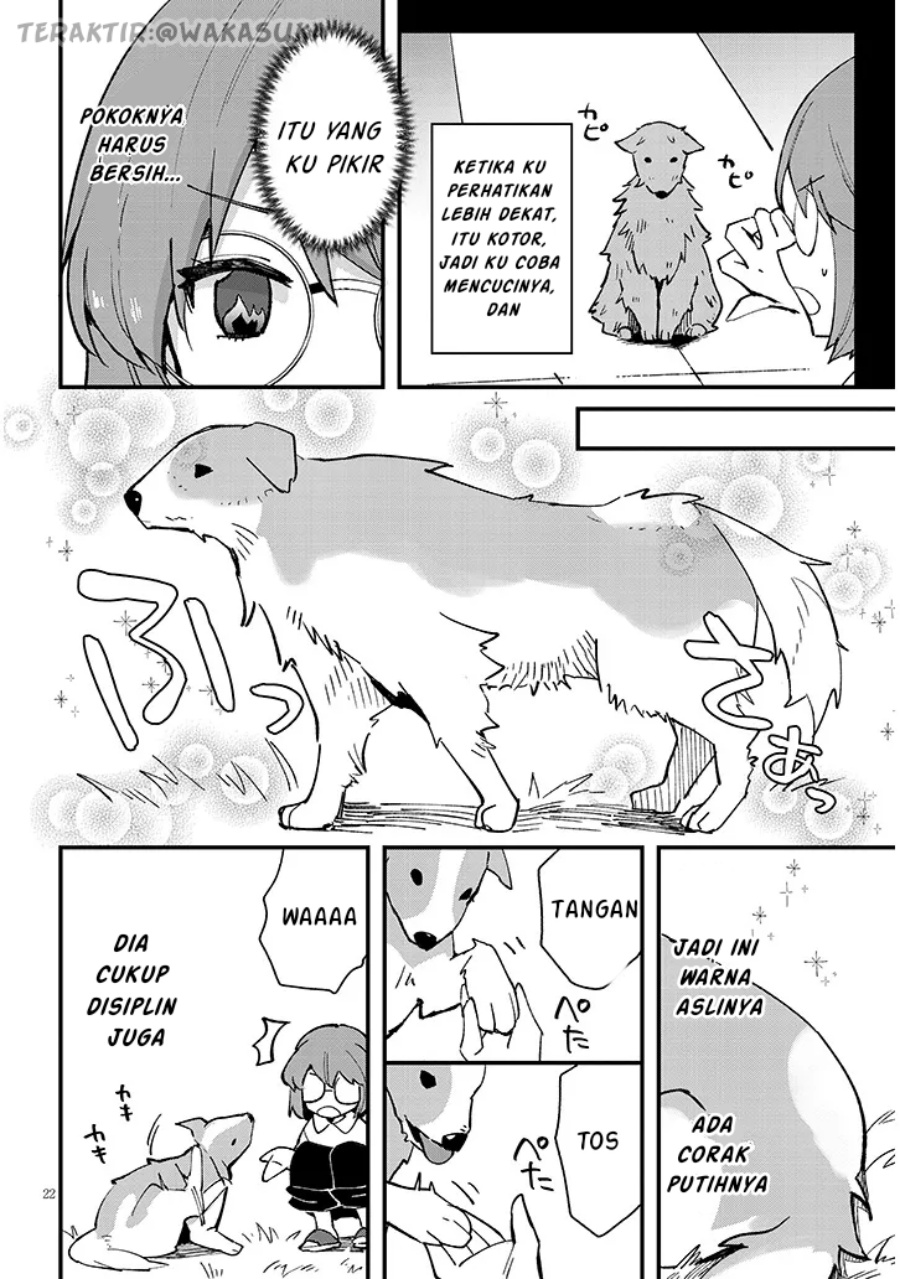 image 22
