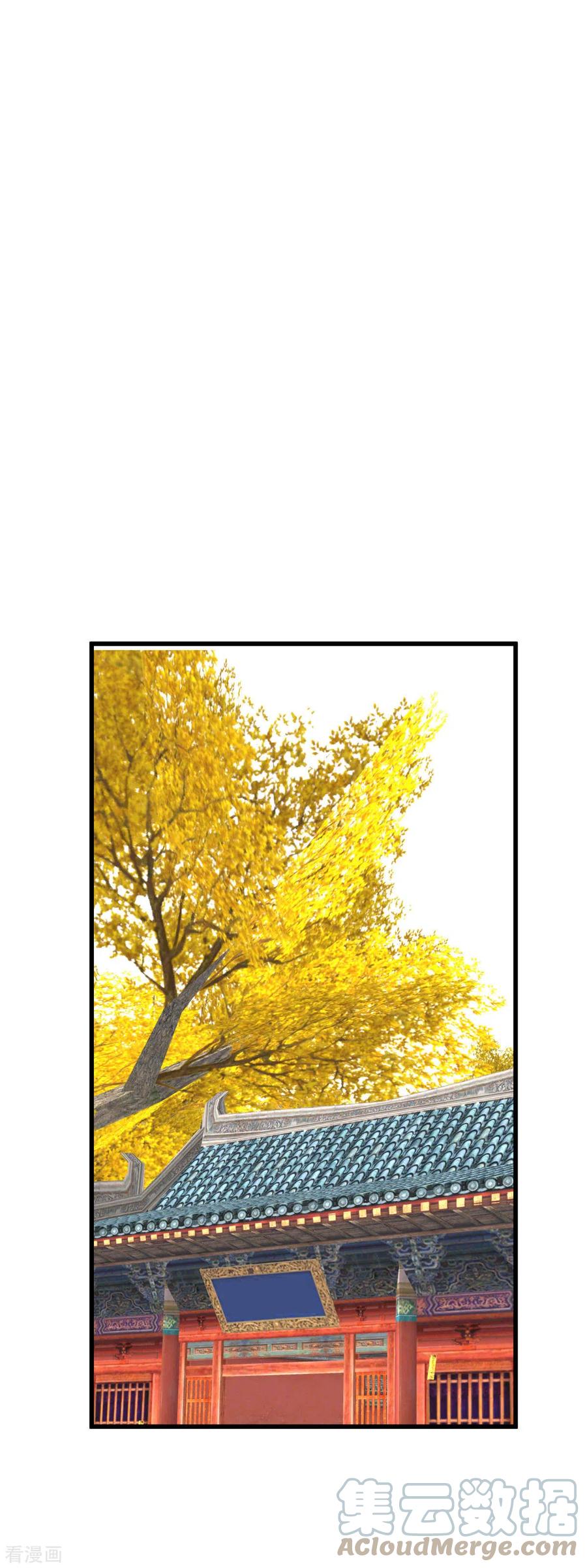 image 33