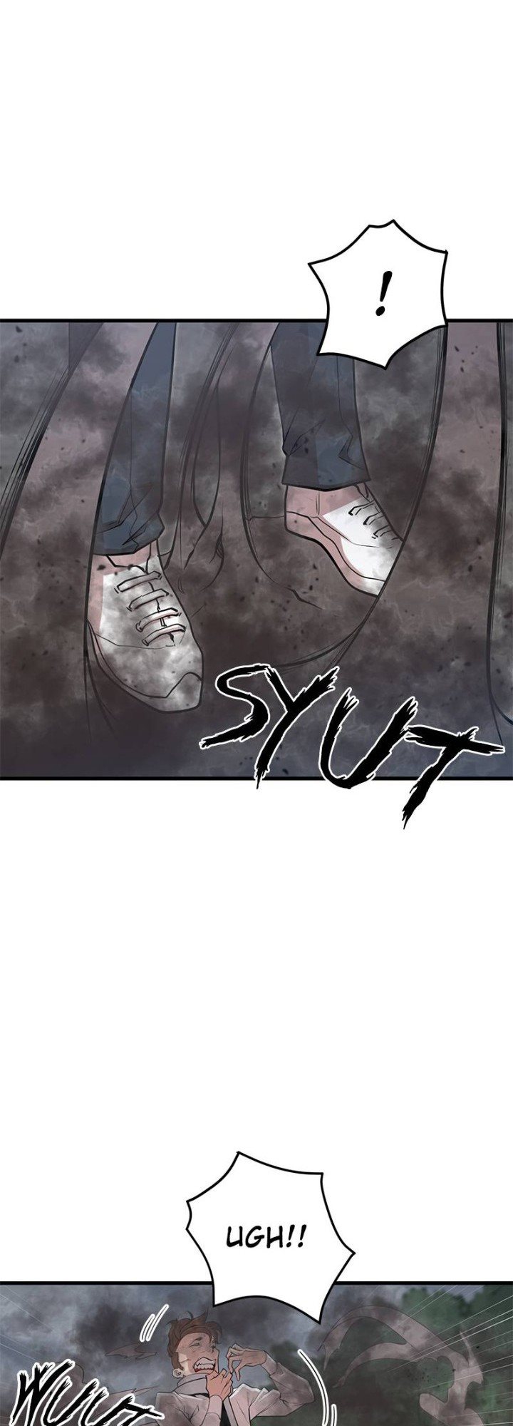 image 41