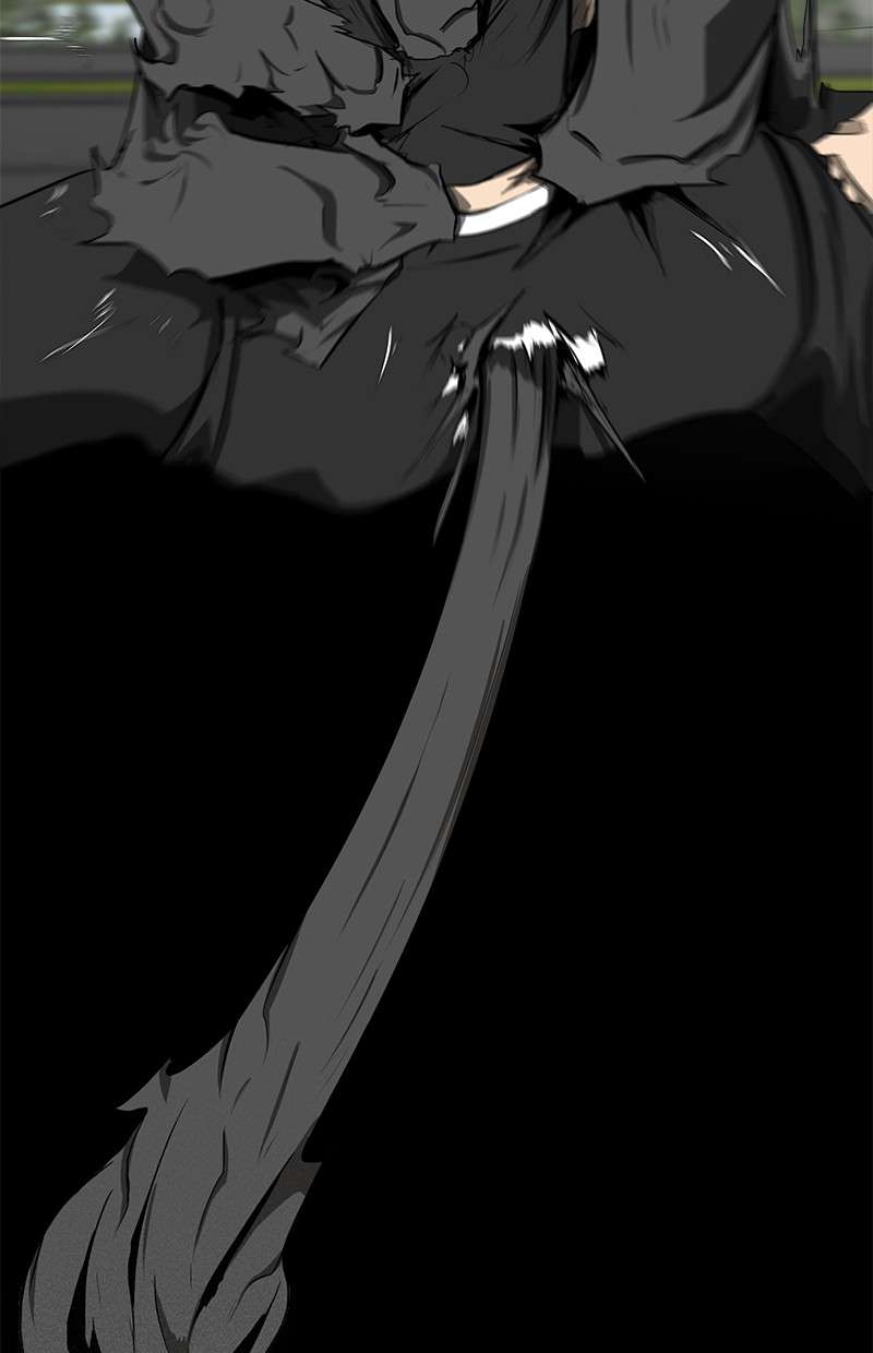 image 24